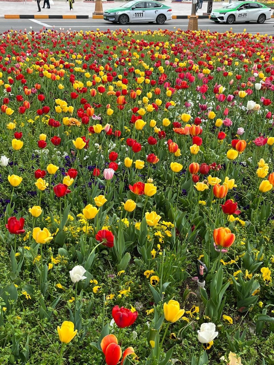 Озеро Бурункуль (Булункуль) — суровая красота Восточного Памира