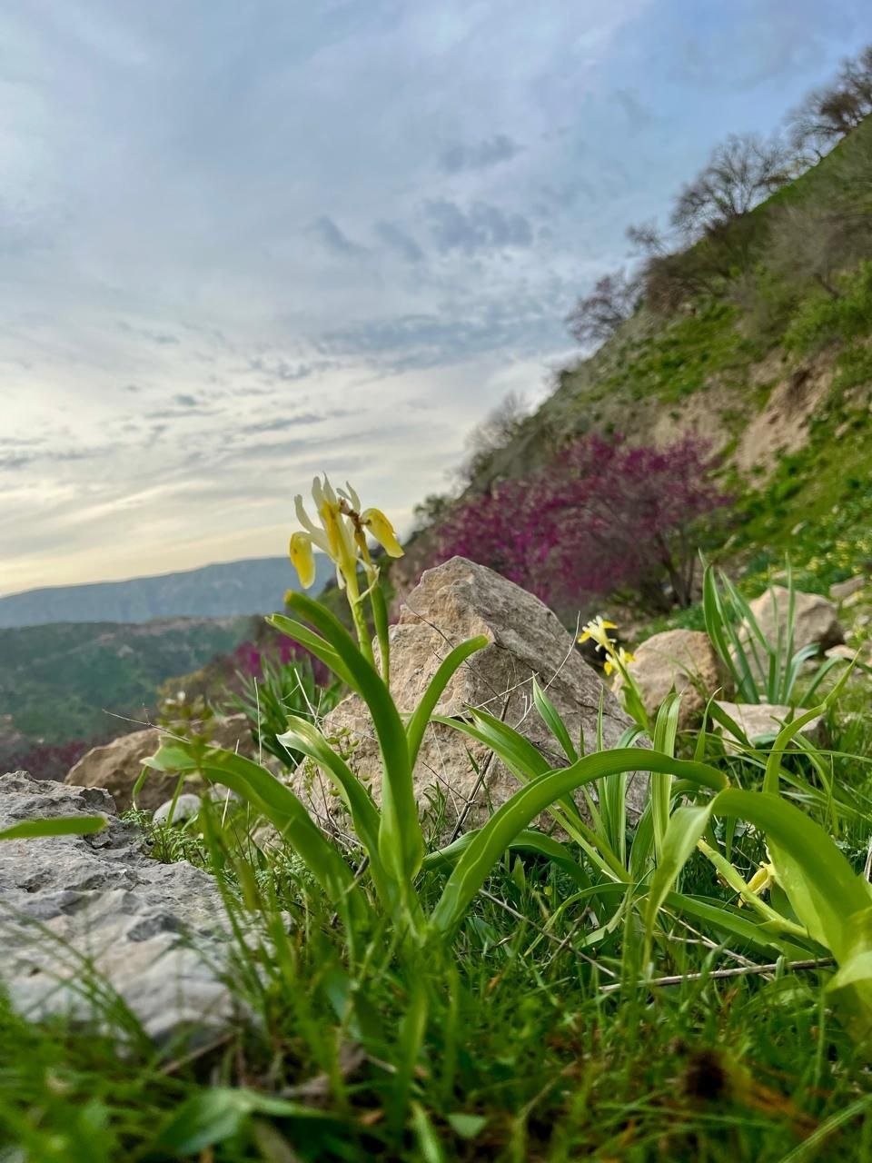 Озеро Каракуль — «жемчужина Восточного Памира»